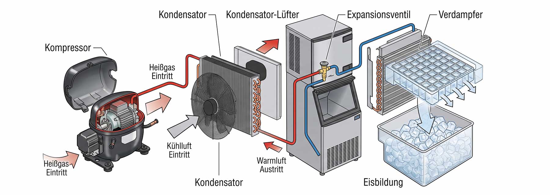 Schematische Darstellung des Kältekreislaufs und der Eisbildung in einer Eiswürfelmaschine