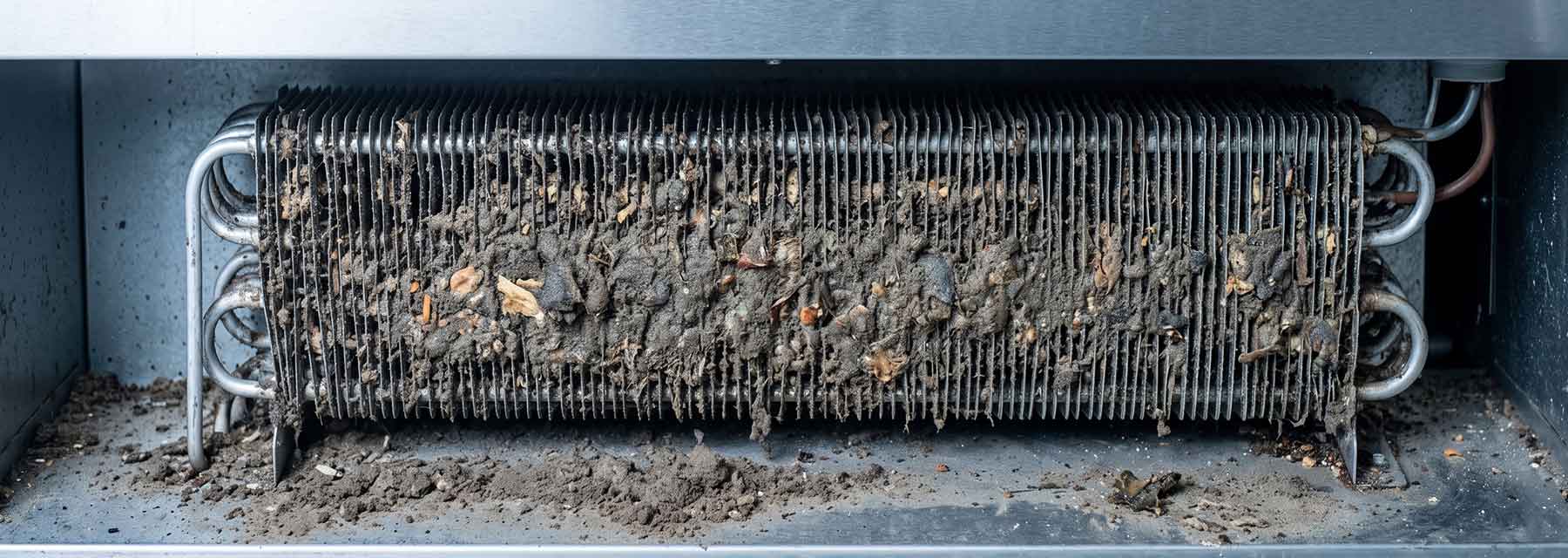 Stark verschmutzter Kondensator eines Gastro-Kühlgeräts mit dicken Staub- und Schmutzablagerungen zwischen den Lamellen
